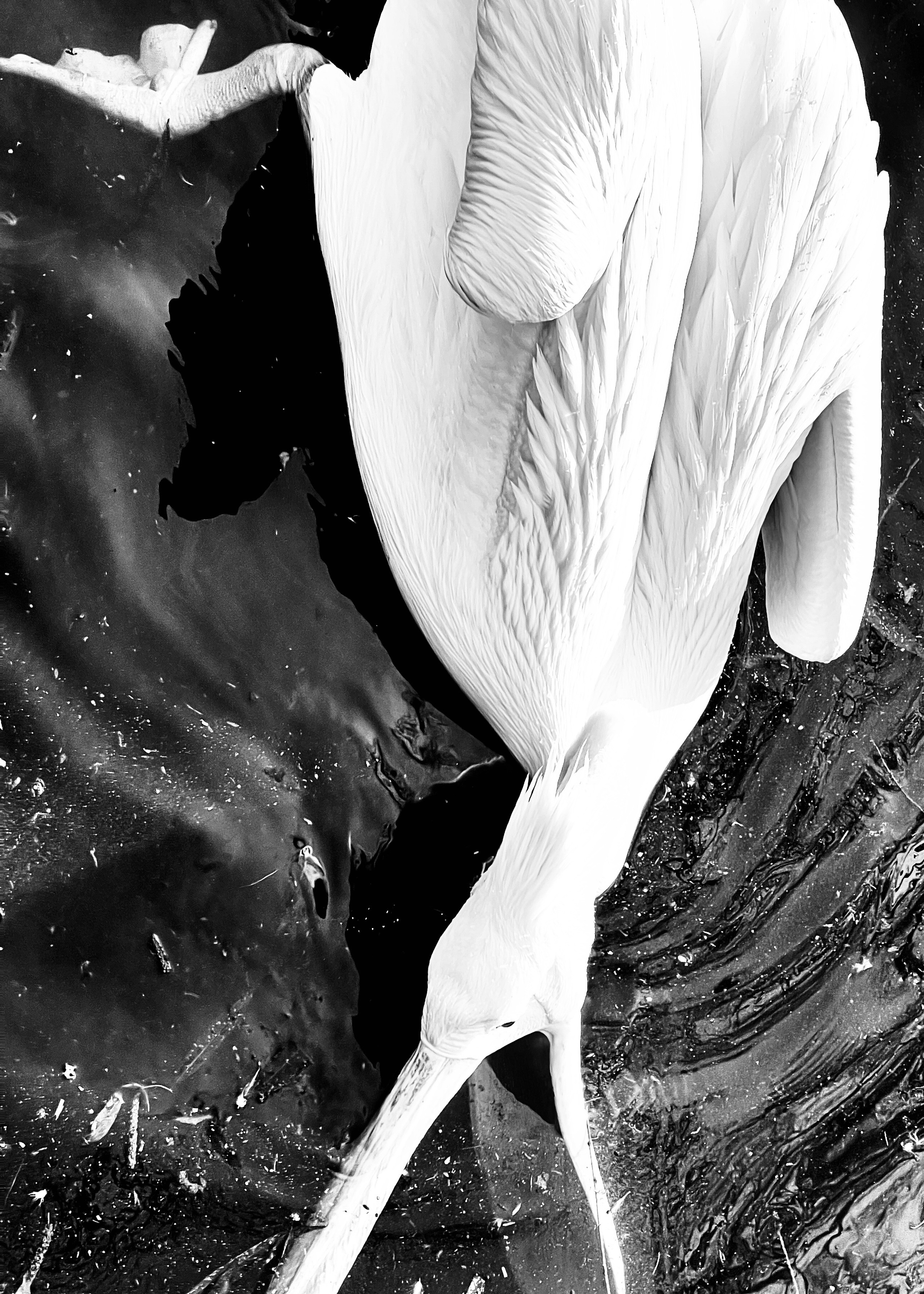 Доронина Юлия. Организация фотовыставок в Петербурге и Москве, MFamilia (МФамилия)