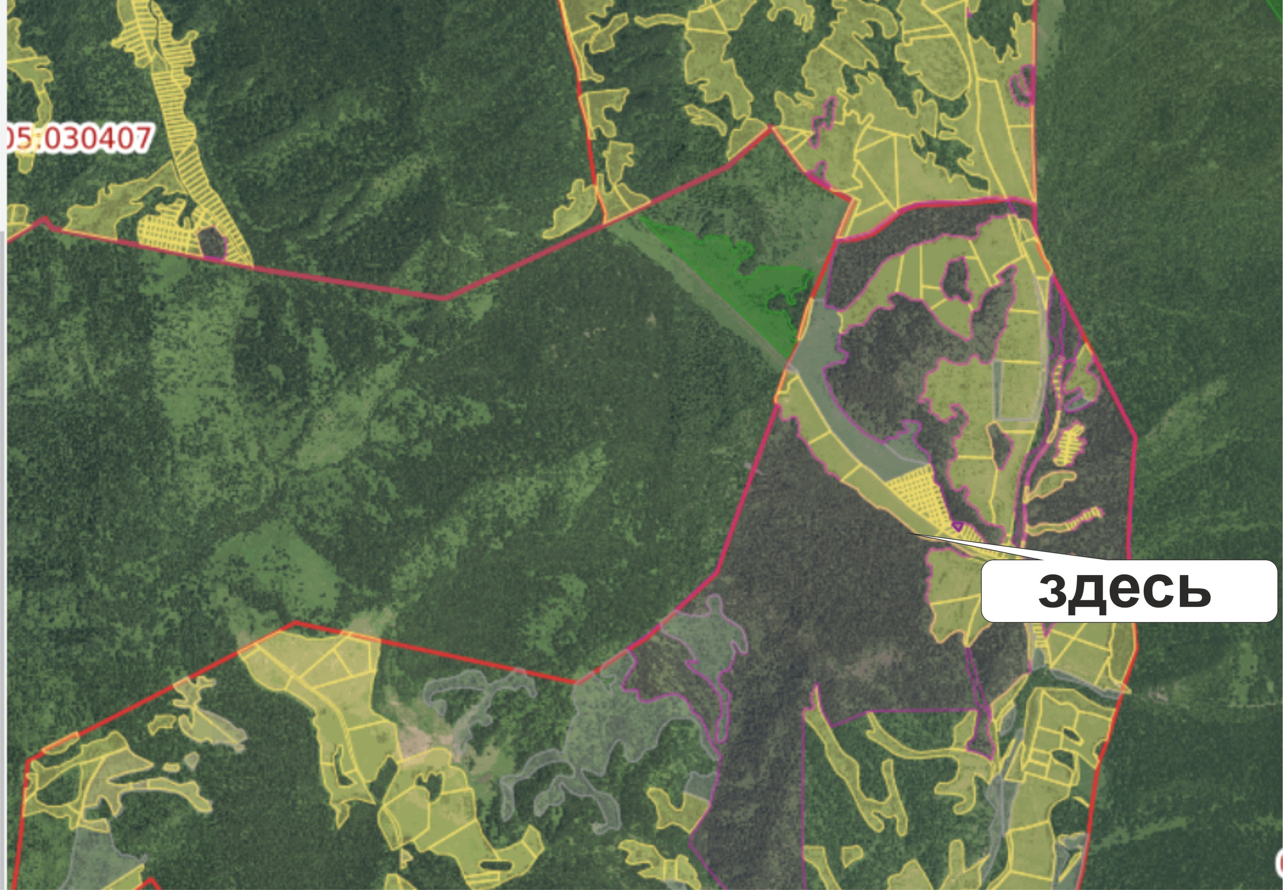 Урлу-Аспак - Каракол. Банк земельных участков Алтая