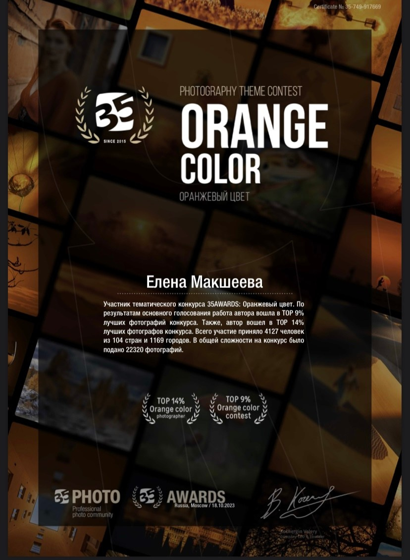 Изображения именного диплома фотоконкурса Оранжевый цвет от 35awards