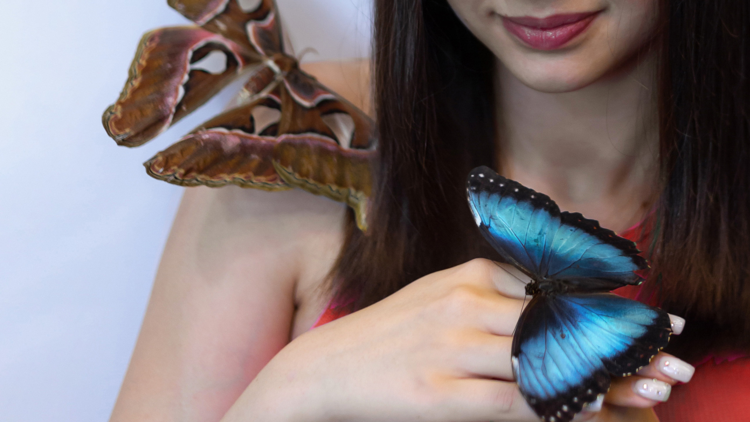 Фотосессия с тропическими бабочками в Минске. Фотограф в Минске Екатерина Тузова