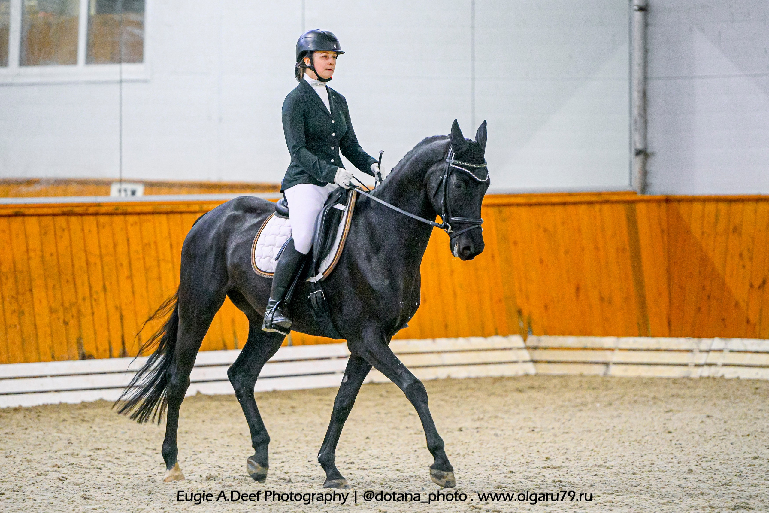 2025.10.19 — КСК Конкорд — выездка. ТУРНИРНАЯ КОННАЯ ФОТОГРАФИЯ, Руднева Ольга и Евгений Адеев