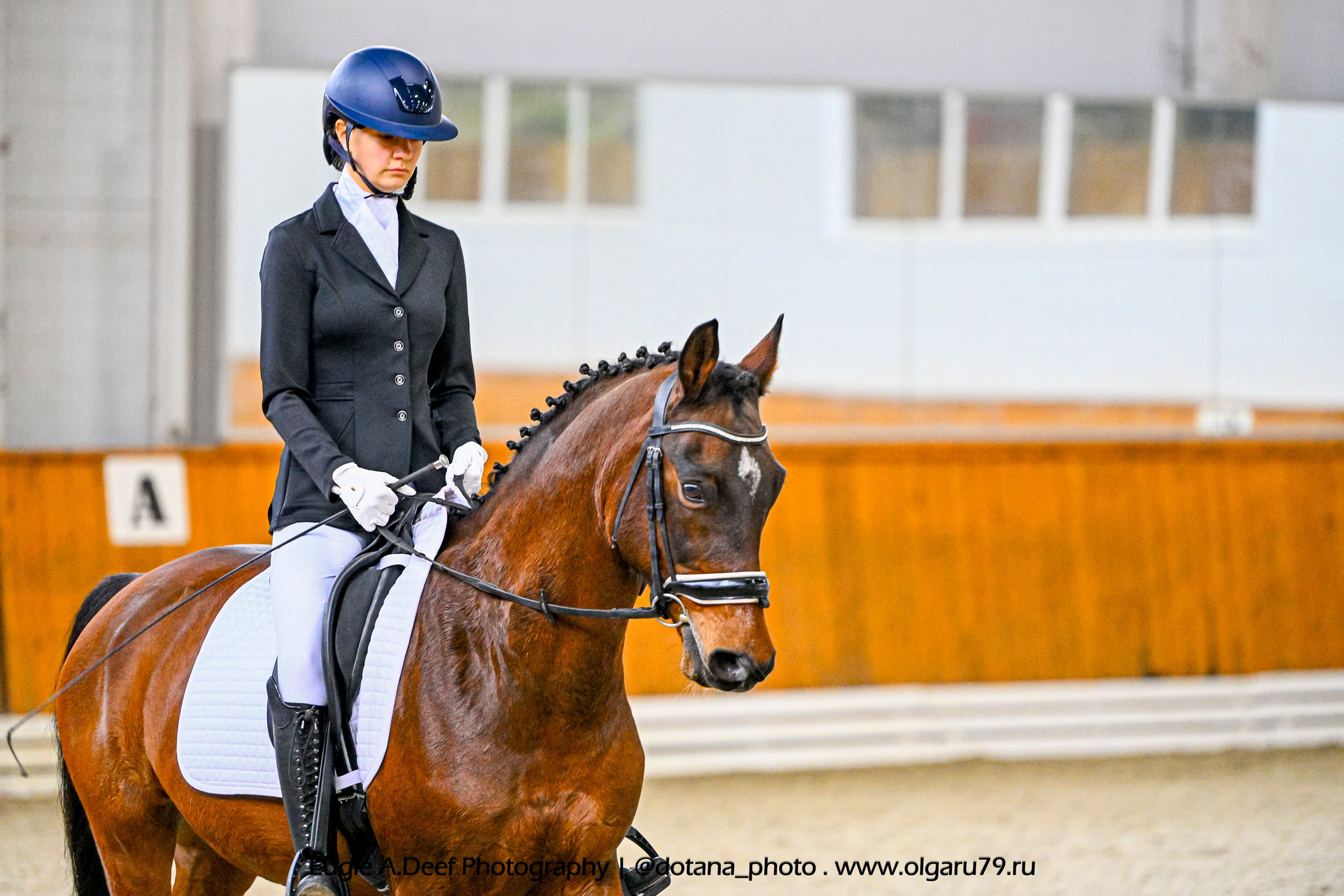 2025.10.19 — КСК Конкорд — выездка. ТУРНИРНАЯ КОННАЯ ФОТОГРАФИЯ, Руднева Ольга и Евгений Адеев