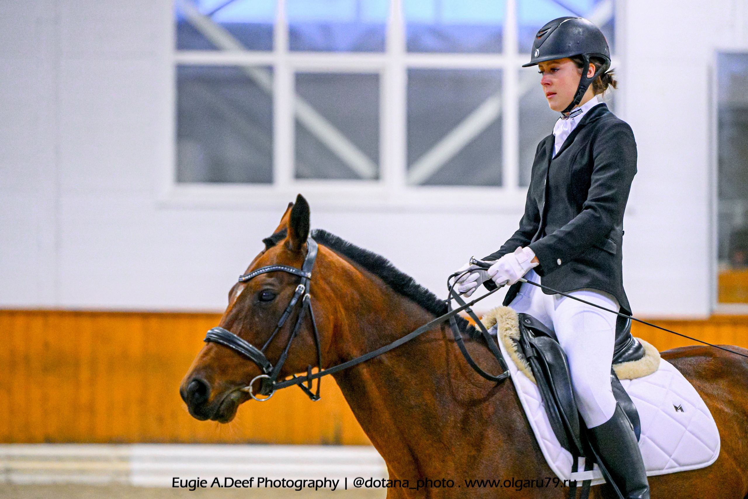 2025.10.19 — КСК Конкорд — выездка. ТУРНИРНАЯ КОННАЯ ФОТОГРАФИЯ, Руднева Ольга и Евгений Адеев