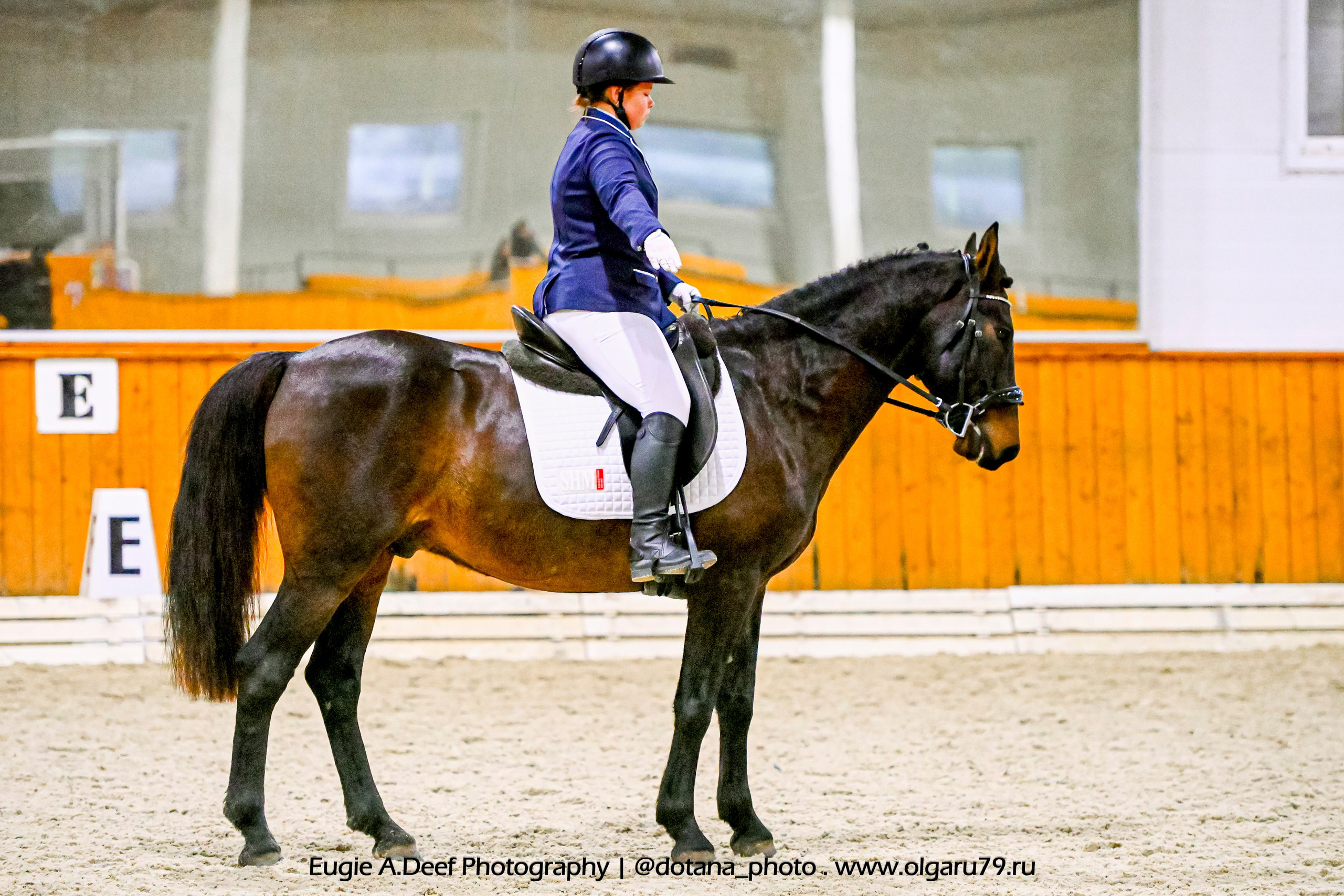 2025.10.19 — КСК Конкорд — выездка. ТУРНИРНАЯ КОННАЯ ФОТОГРАФИЯ, Руднева Ольга и Евгений Адеев