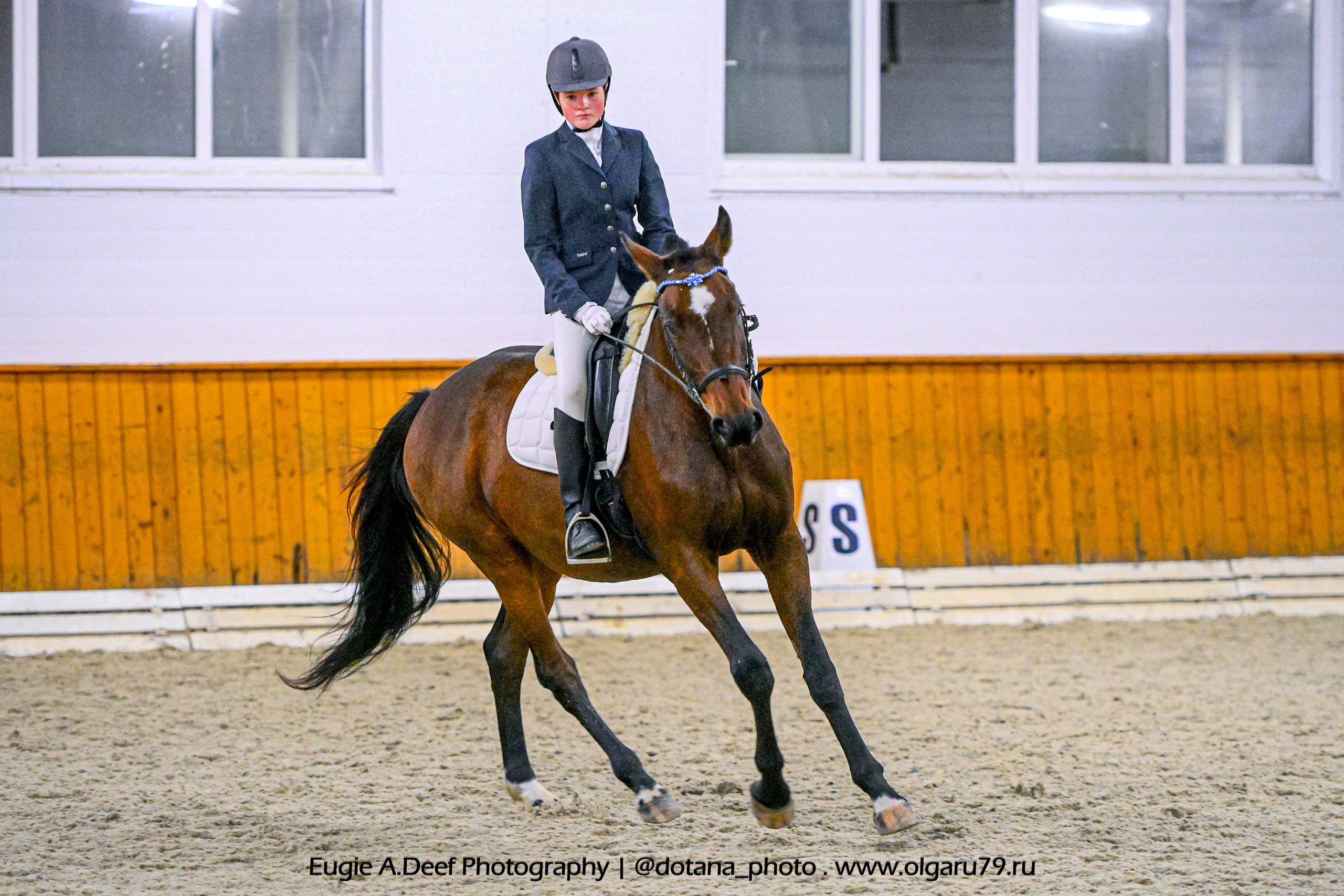 2025.10.19 — КСК Конкорд — выездка. ТУРНИРНАЯ КОННАЯ ФОТОГРАФИЯ, Руднева Ольга и Евгений Адеев