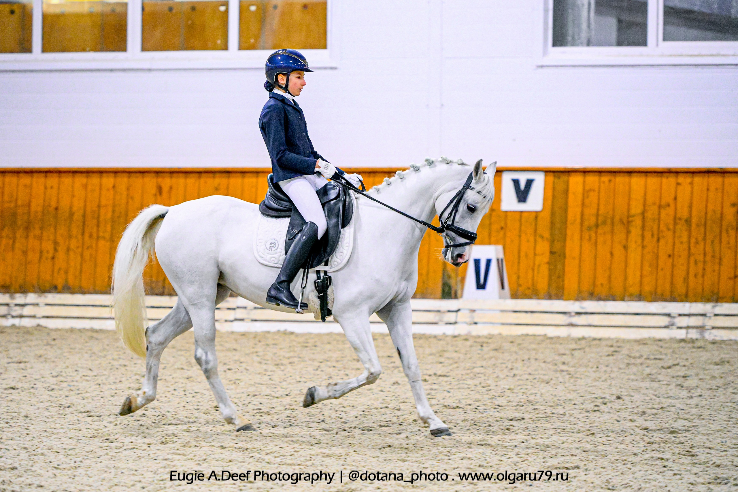 2025.10.19 — КСК Конкорд — выездка. ТУРНИРНАЯ КОННАЯ ФОТОГРАФИЯ, Руднева Ольга и Евгений Адеев