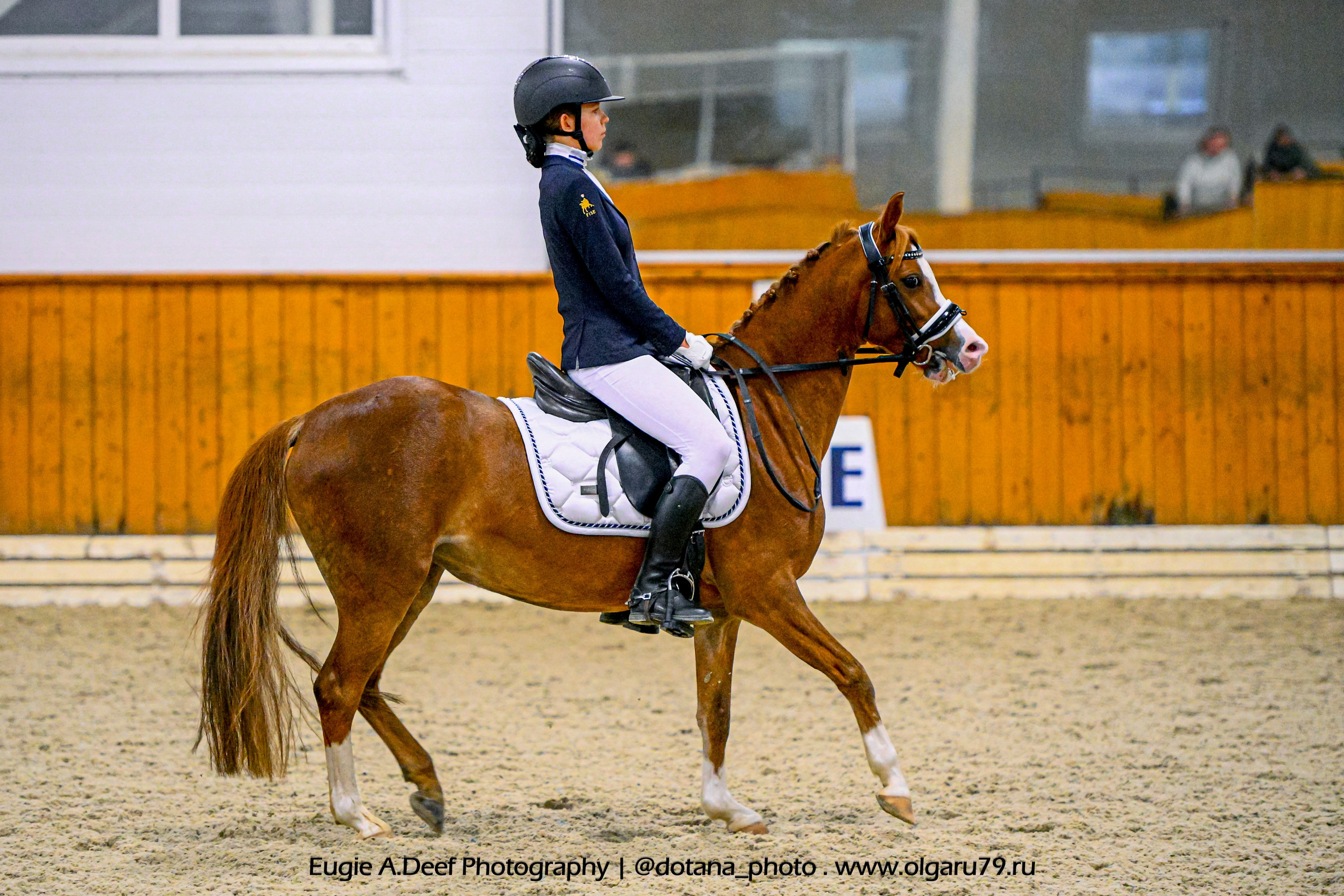 2025.10.19 — КСК Конкорд — выездка. ТУРНИРНАЯ КОННАЯ ФОТОГРАФИЯ, Руднева Ольга и Евгений Адеев