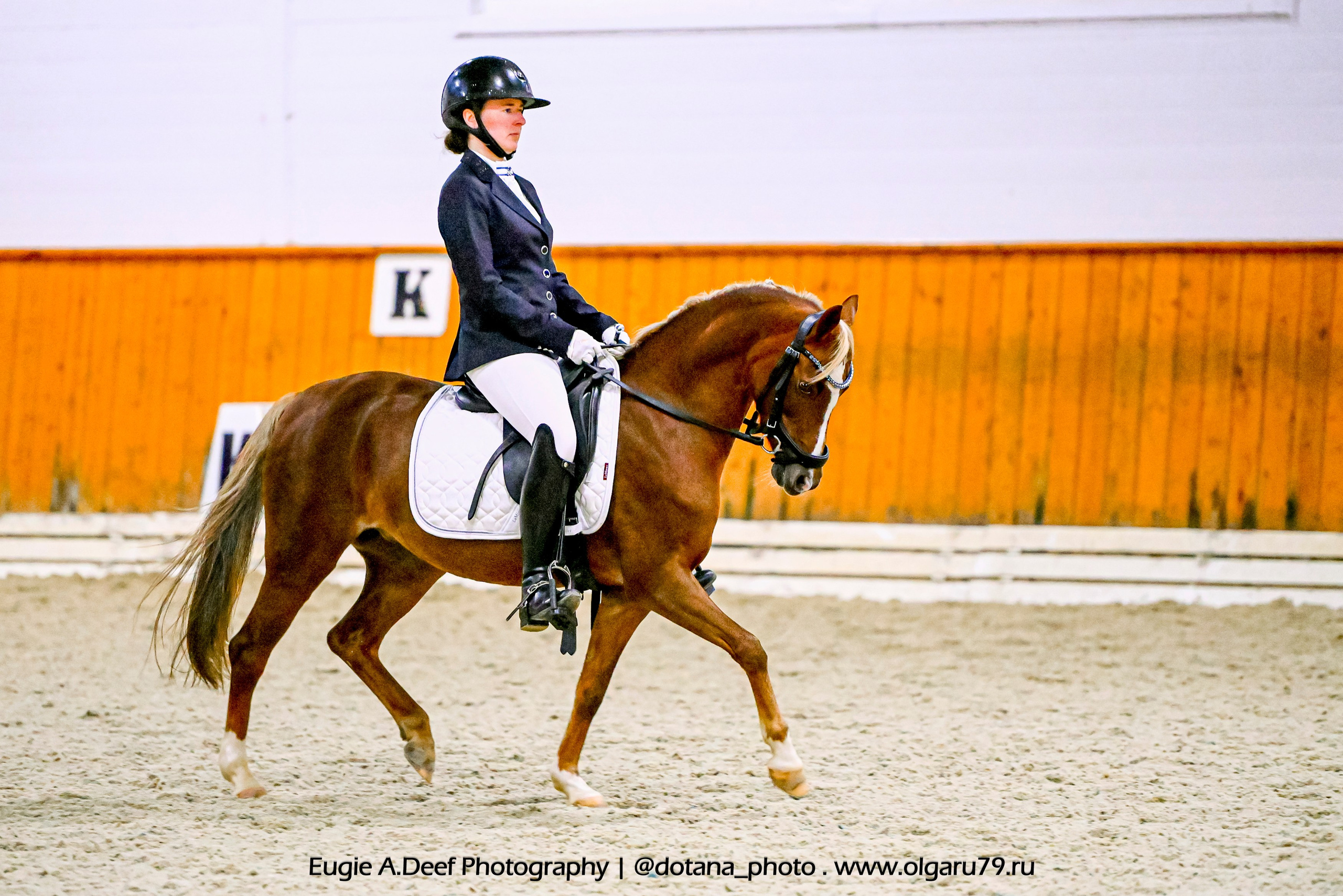 2025.10.19 — КСК Конкорд — выездка. ТУРНИРНАЯ КОННАЯ ФОТОГРАФИЯ, Руднева Ольга и Евгений Адеев