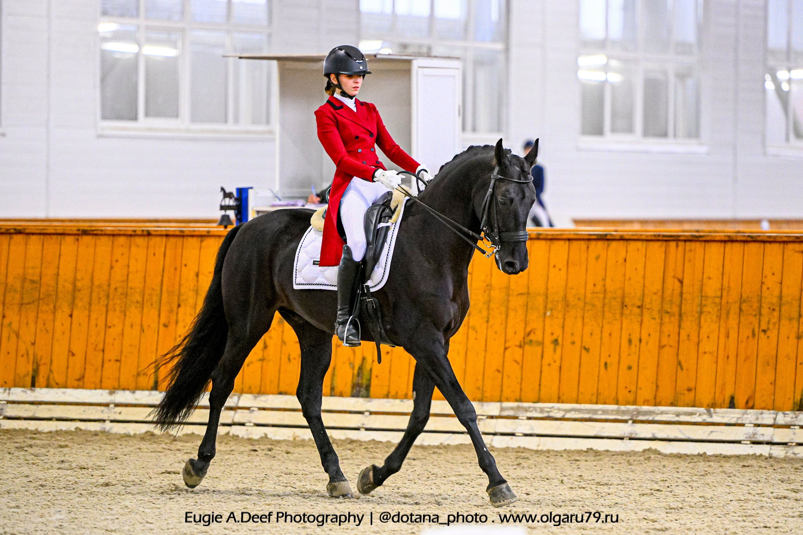 2025.10.19 — КСК Конкорд — выездка. ТУРНИРНАЯ КОННАЯ ФОТОГРАФИЯ, Руднева Ольга и Евгений Адеев
