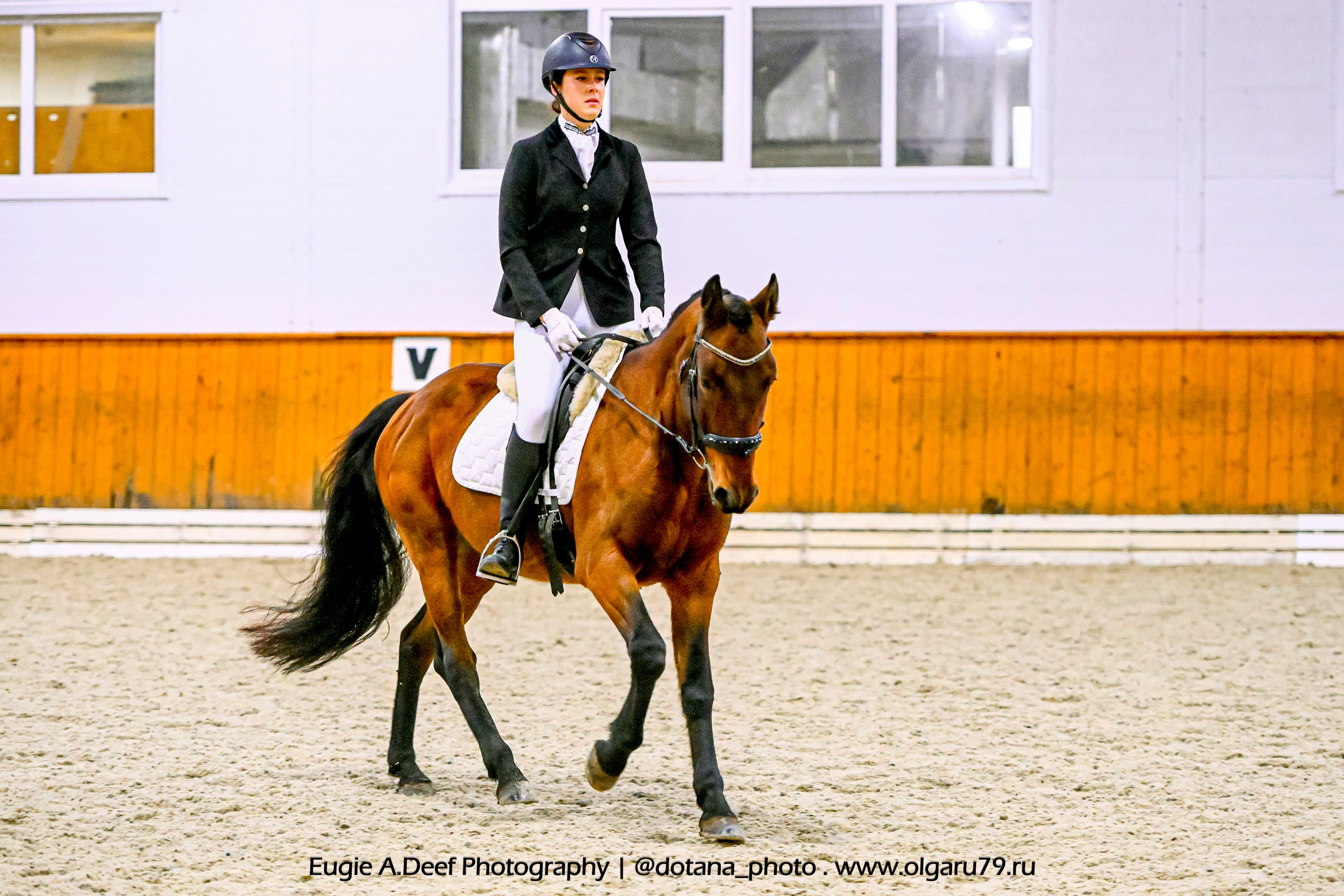 2025.10.19 — КСК Конкорд — выездка. ТУРНИРНАЯ КОННАЯ ФОТОГРАФИЯ, Руднева Ольга и Евгений Адеев