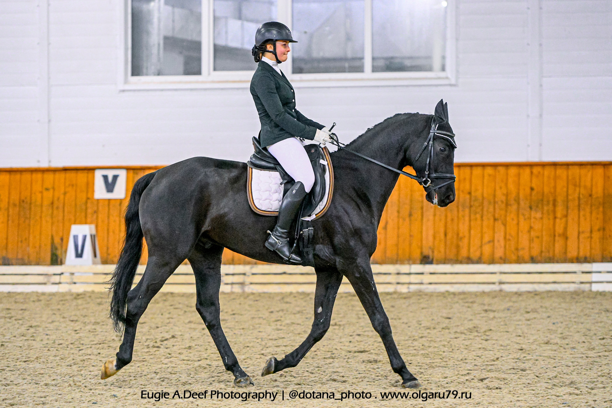 2025.10.19 — КСК Конкорд — выездка. ТУРНИРНАЯ КОННАЯ ФОТОГРАФИЯ, Руднева Ольга и Евгений Адеев