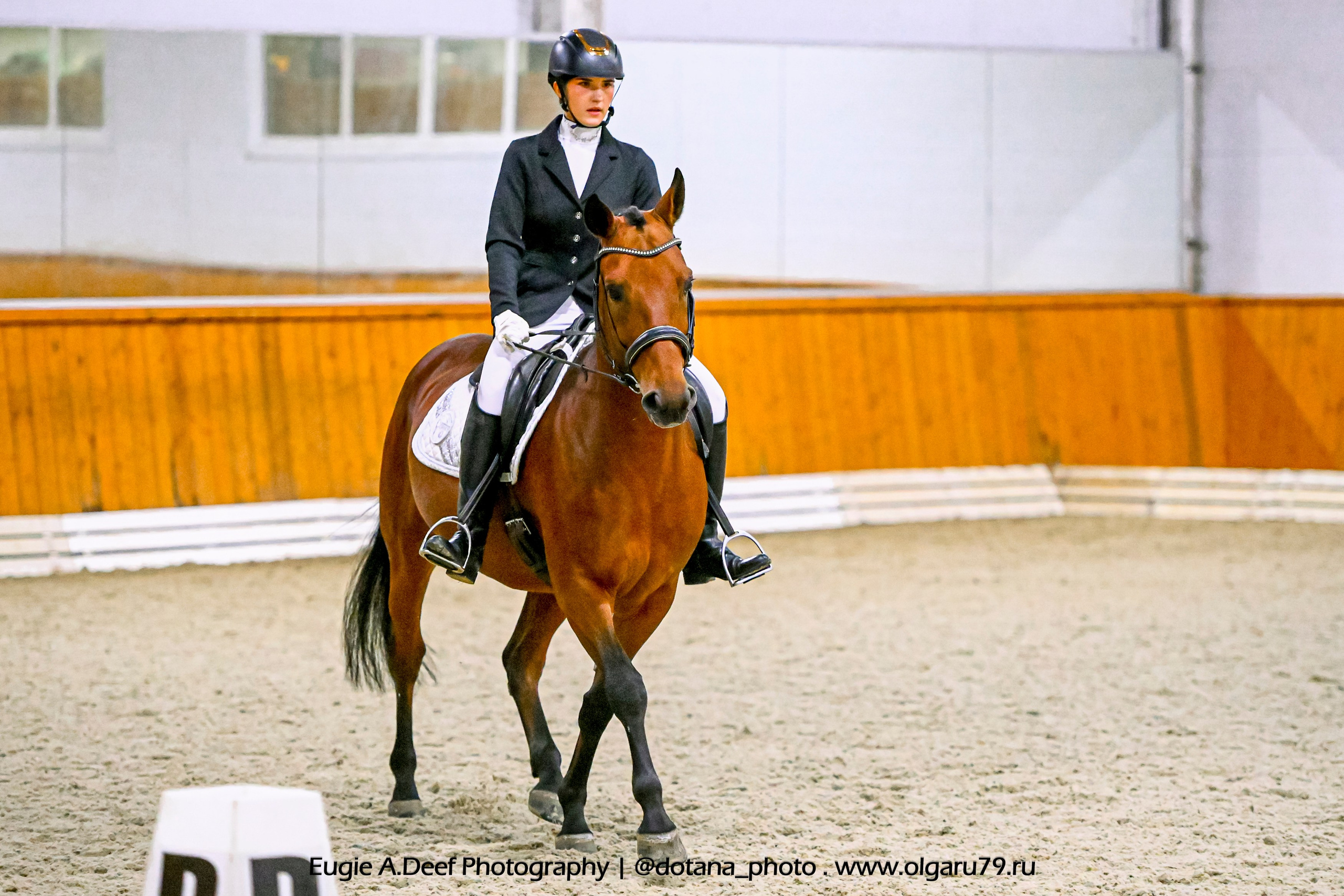 2025.10.19 — КСК Конкорд — выездка. ТУРНИРНАЯ КОННАЯ ФОТОГРАФИЯ, Руднева Ольга и Евгений Адеев