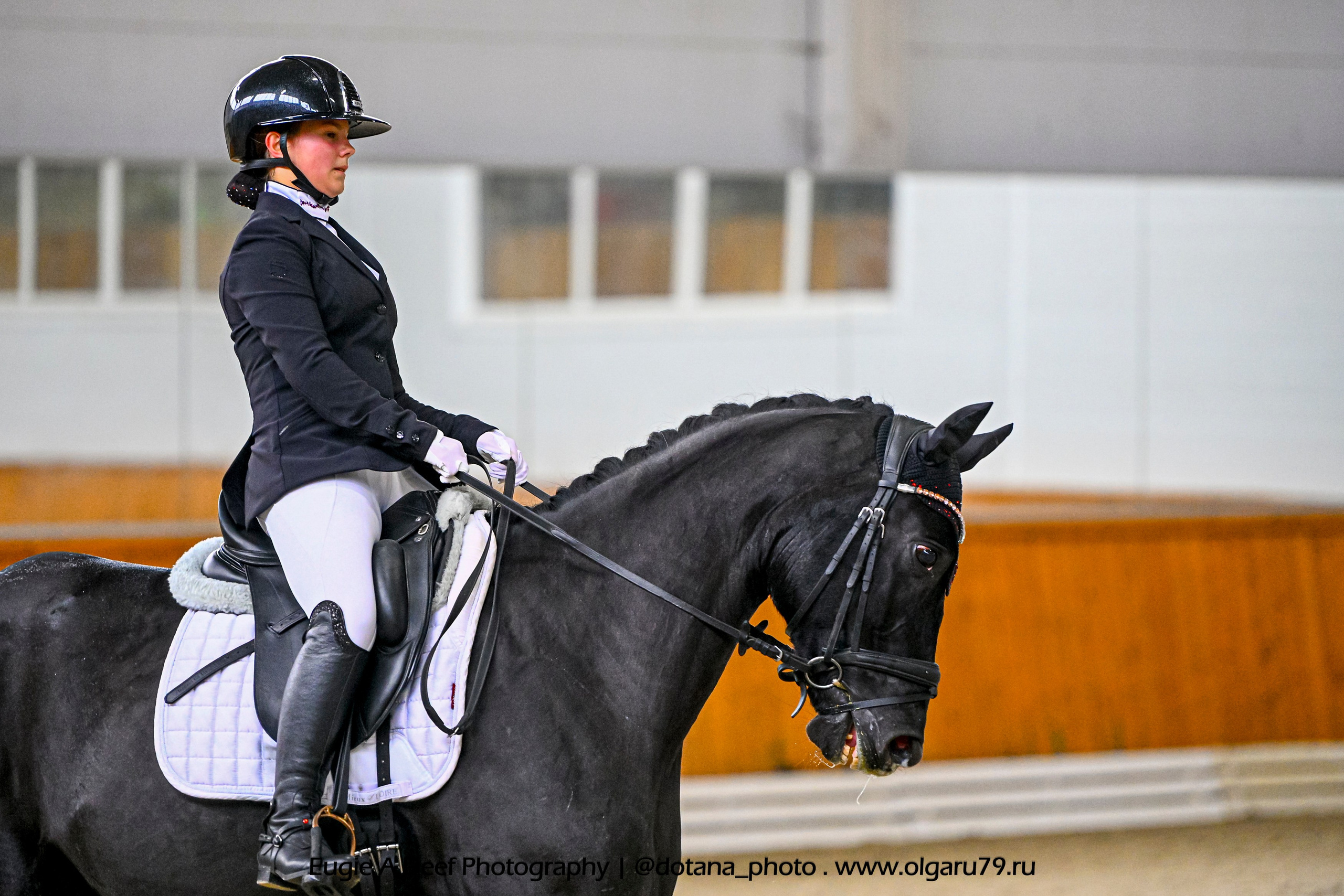 2025.10.19 — КСК Конкорд — выездка. ТУРНИРНАЯ КОННАЯ ФОТОГРАФИЯ, Руднева Ольга и Евгений Адеев