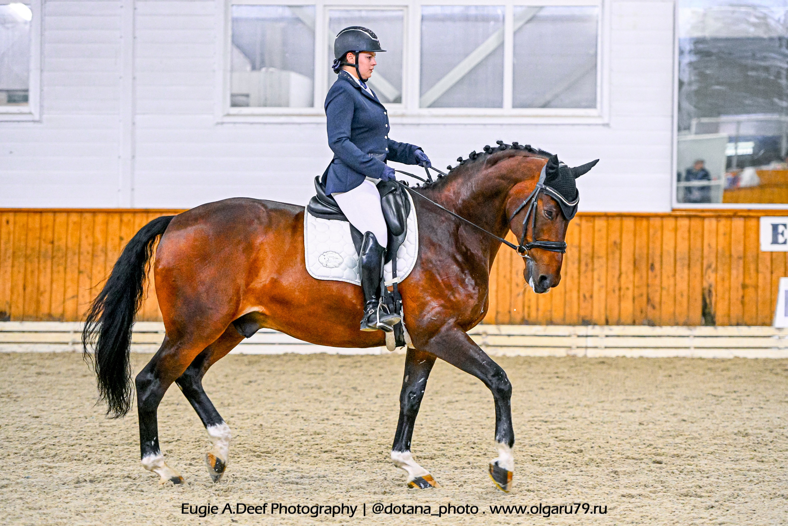 2025.10.19 — КСК Конкорд — выездка. ТУРНИРНАЯ КОННАЯ ФОТОГРАФИЯ, Руднева Ольга и Евгений Адеев
