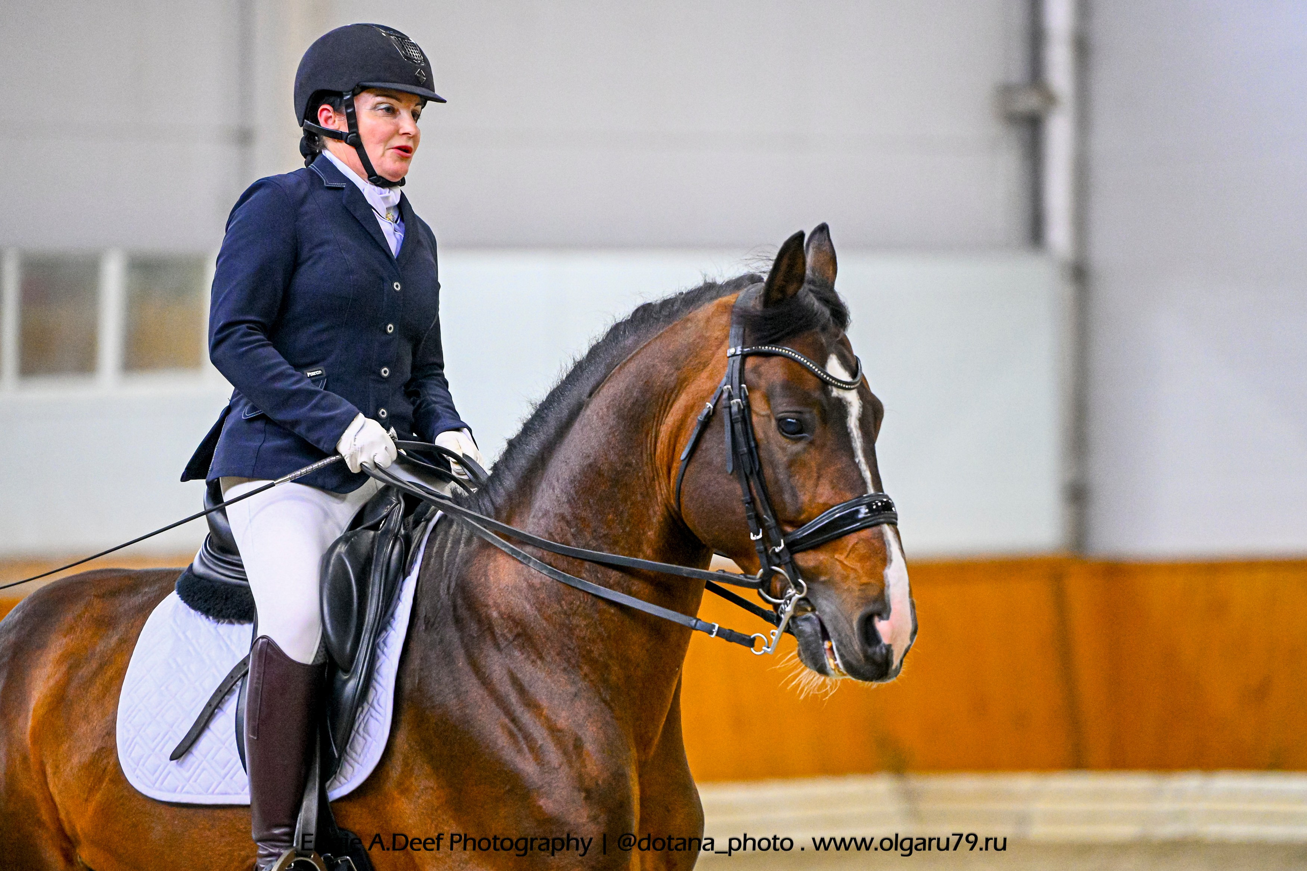 2025.10.19 — КСК Конкорд — выездка. ТУРНИРНАЯ КОННАЯ ФОТОГРАФИЯ, Руднева Ольга и Евгений Адеев