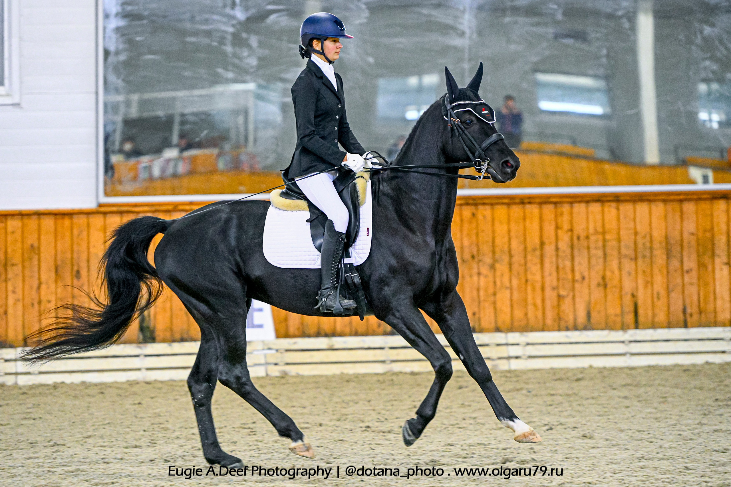 2025.10.19 — КСК Конкорд — выездка. ТУРНИРНАЯ КОННАЯ ФОТОГРАФИЯ, Руднева Ольга и Евгений Адеев