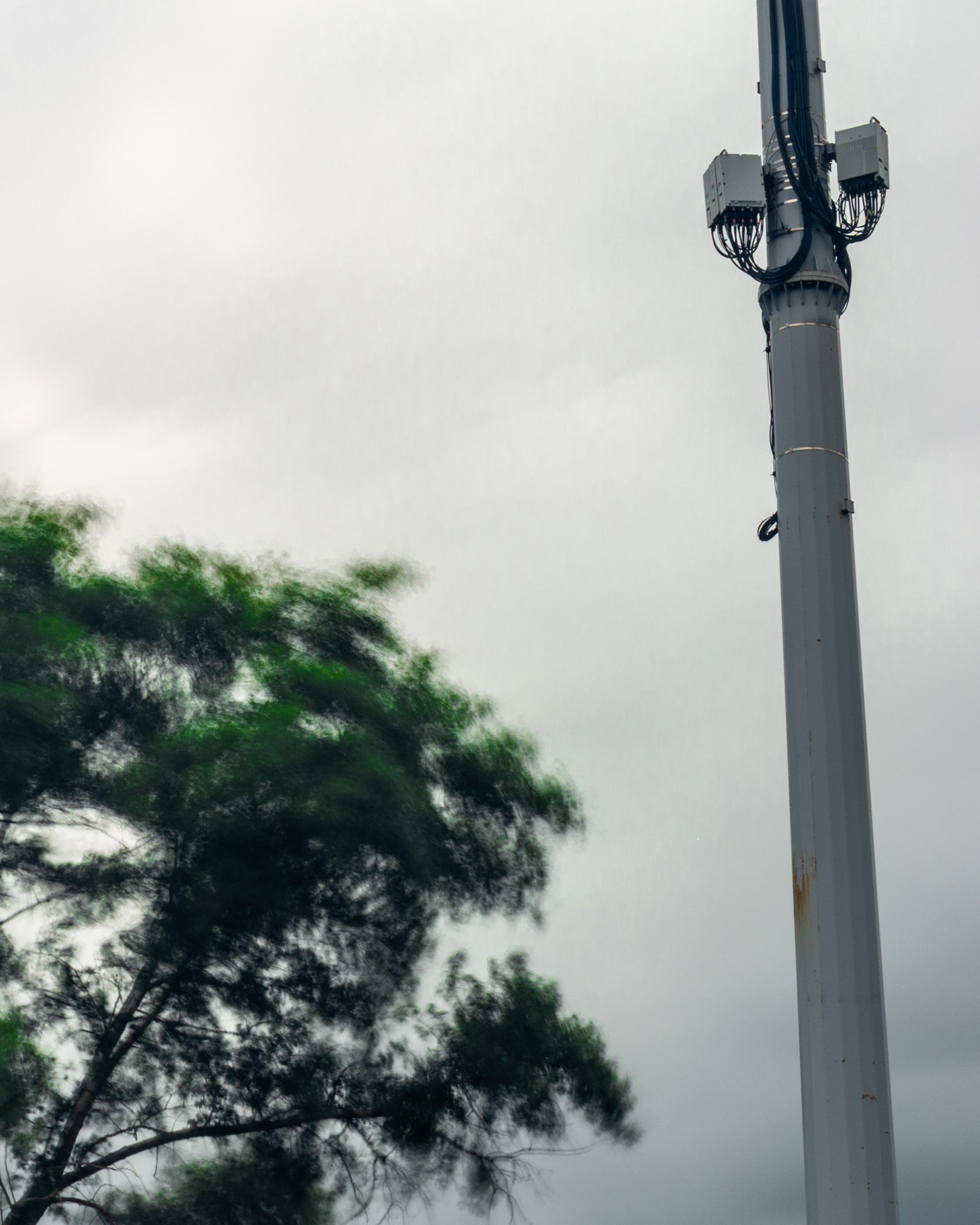 Визуализация ветра. Фотограф Даниил Богомолов