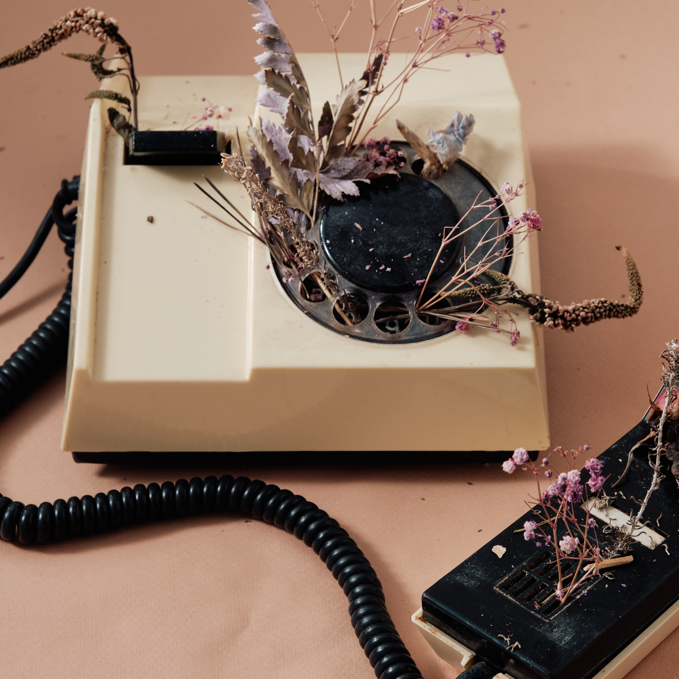 Сет-дизайнер и фуд-стилист в Москве Инна Чертова