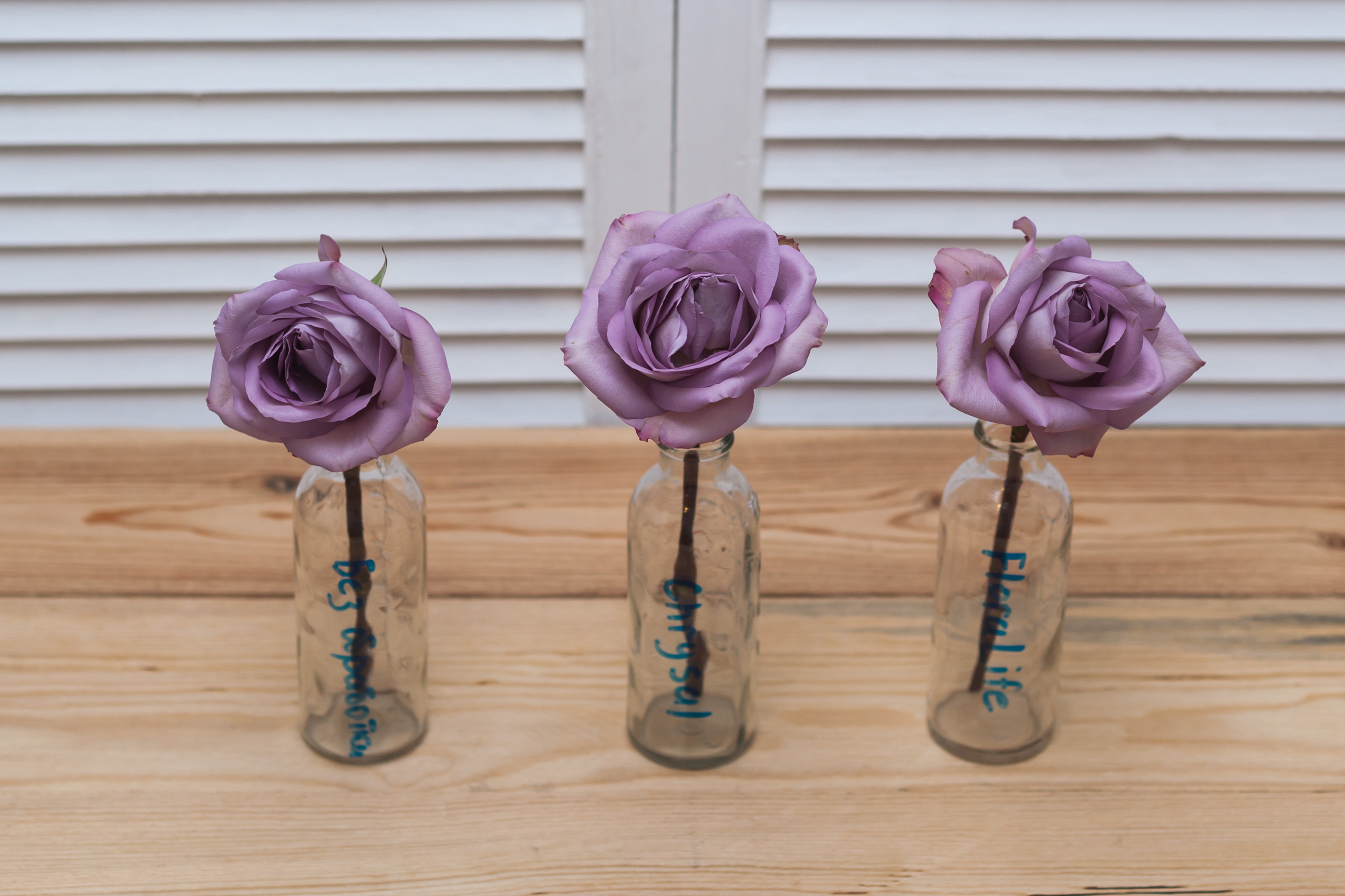 Тестируем средства для финишной обработки цветов. Флорист Маргарита Гладкова