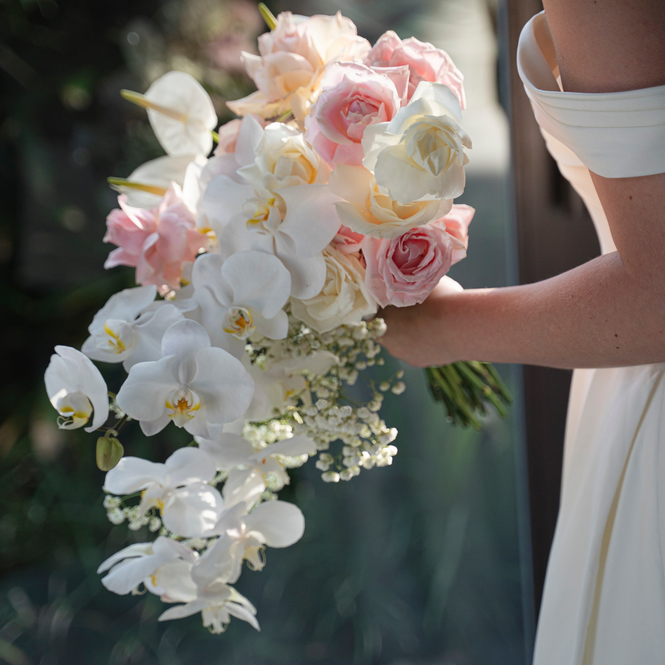 Услуги. Главная