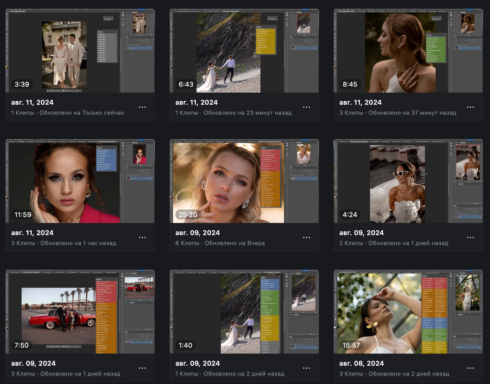 ПАНЕЛЬ ЭКШЕНОВ 100 штук