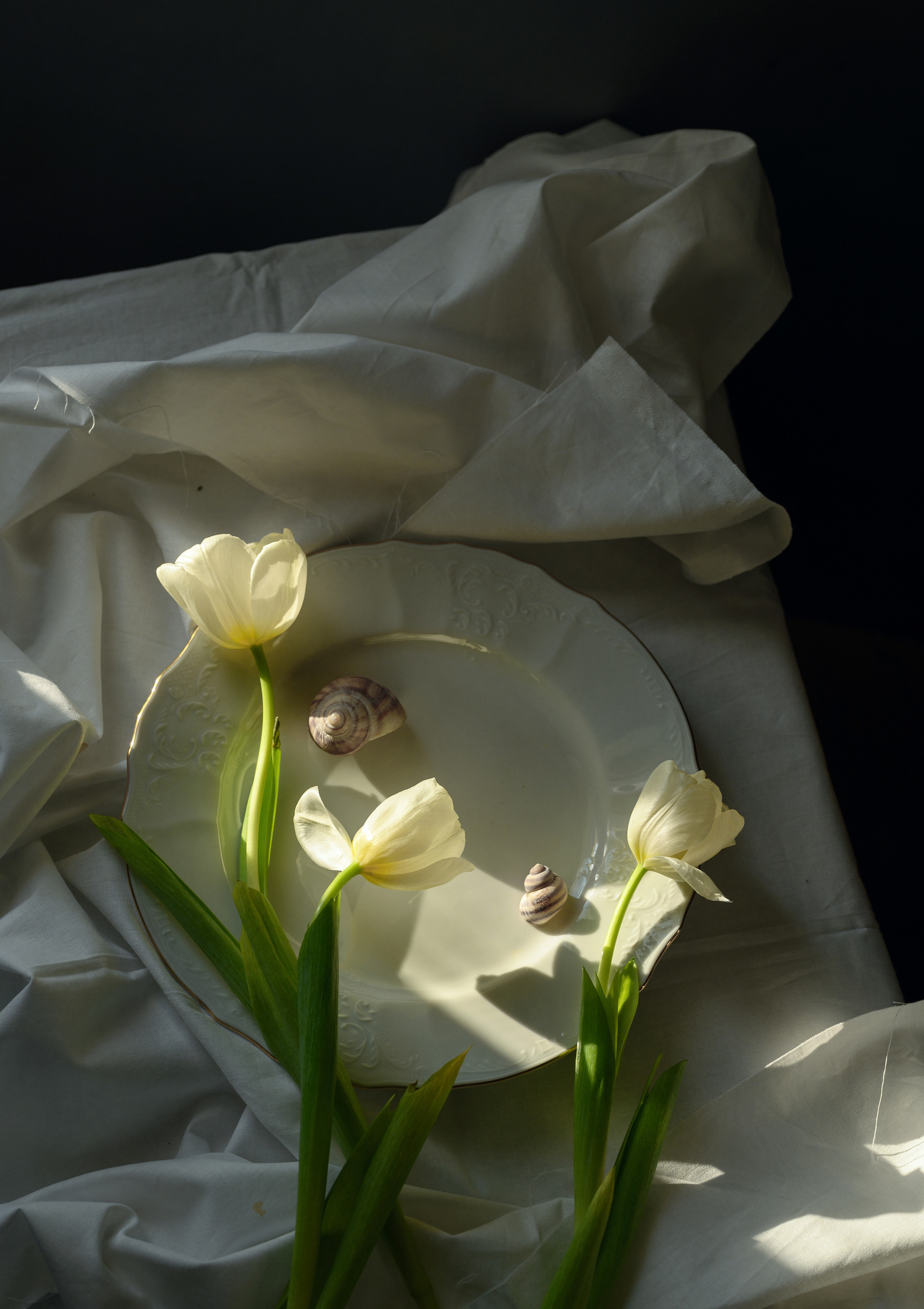 С тюльпанами. Фотограф Елена Хазина, Рязань