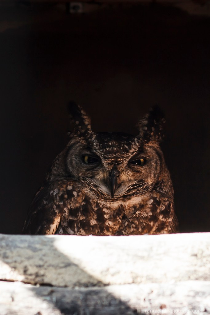 Путешествие на Кипр в 2014 году. Фотограф Иван Губанов