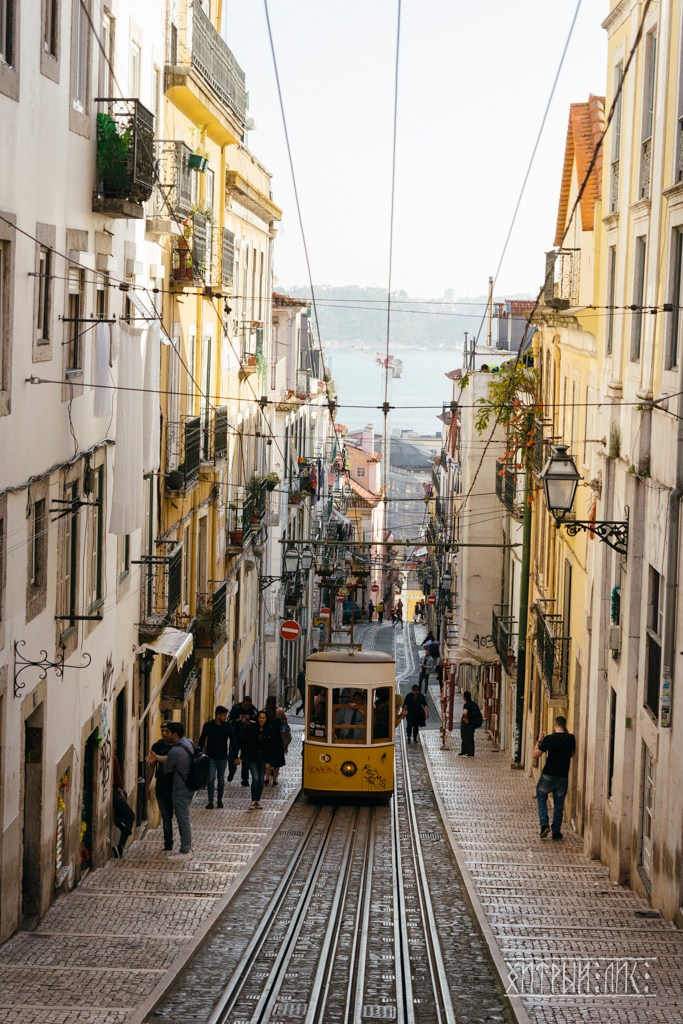 Фотограф-путешественник Самойлов Максим «Sly Fox»