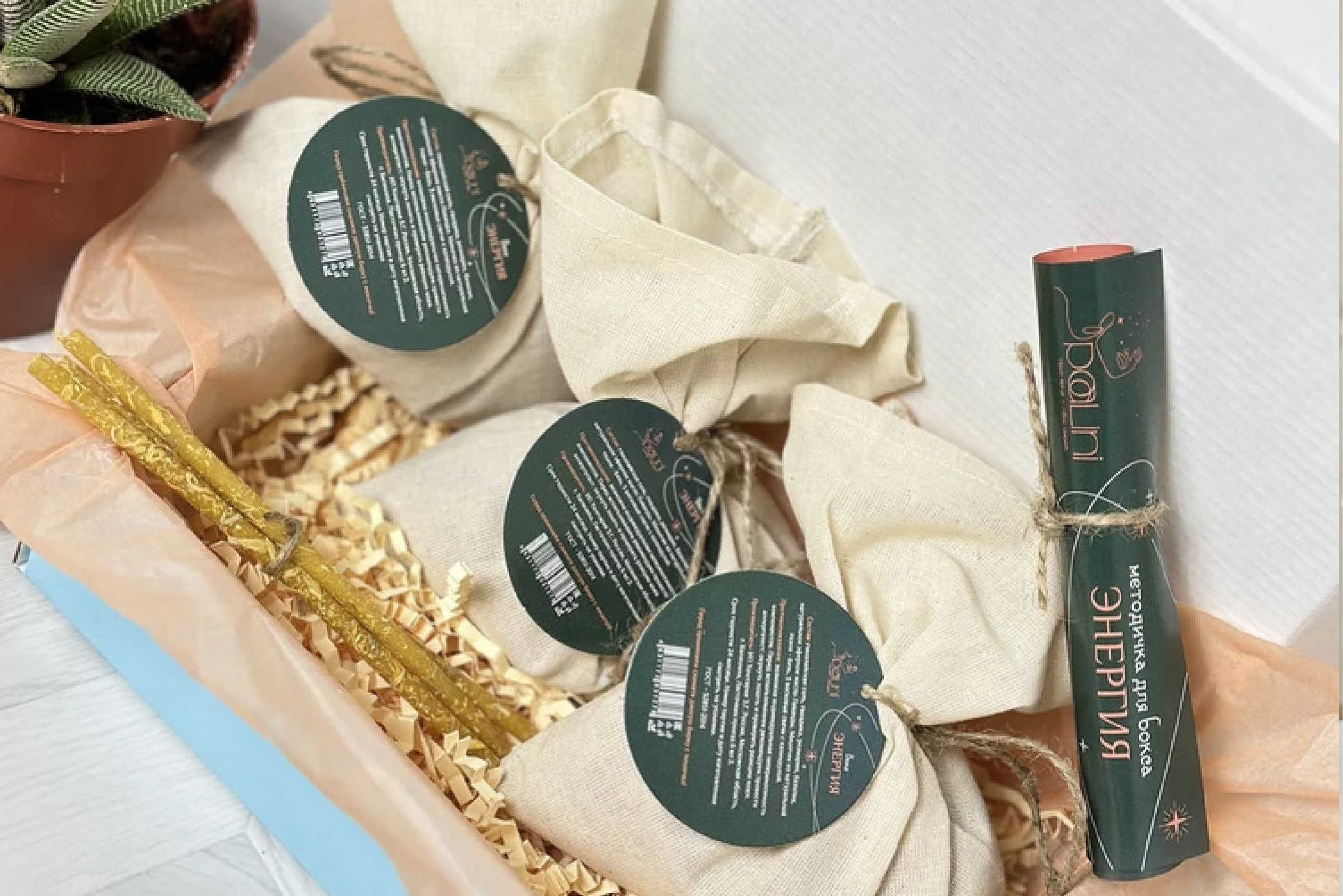 Реализация. Самсонова Анна — графический и brand — дизайнер