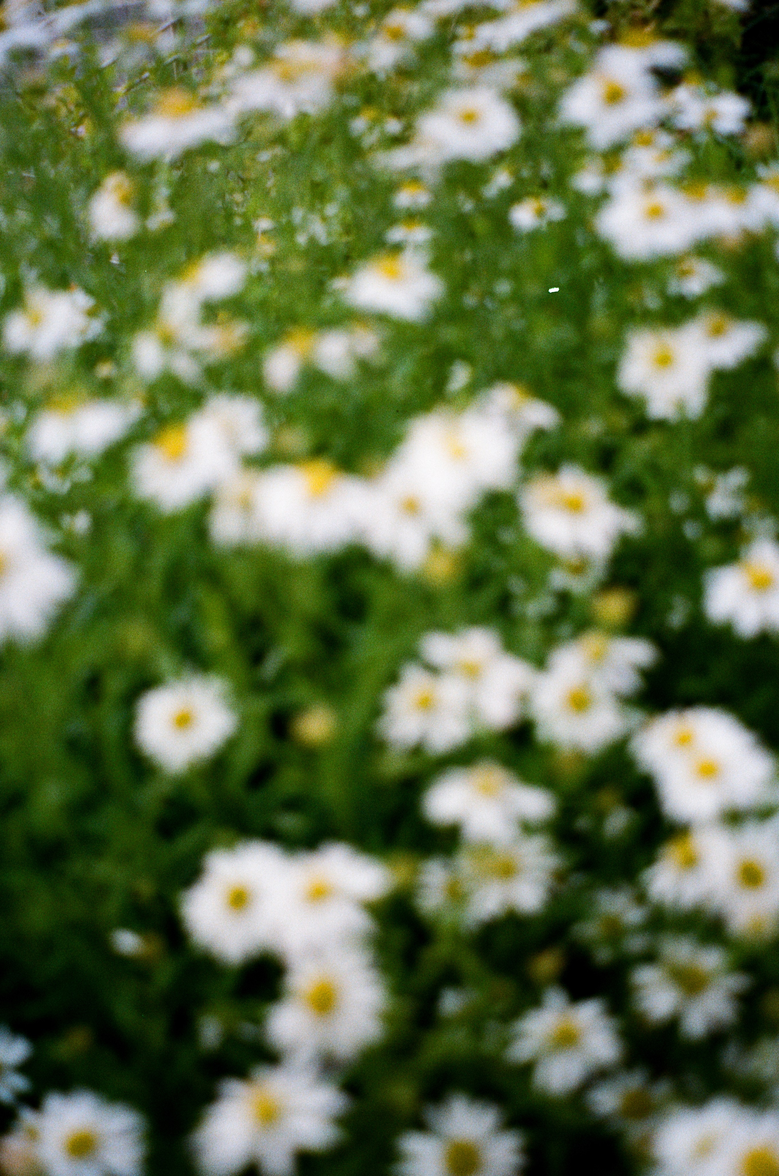 Портретный и предметный фотограф Елизавета Федорова