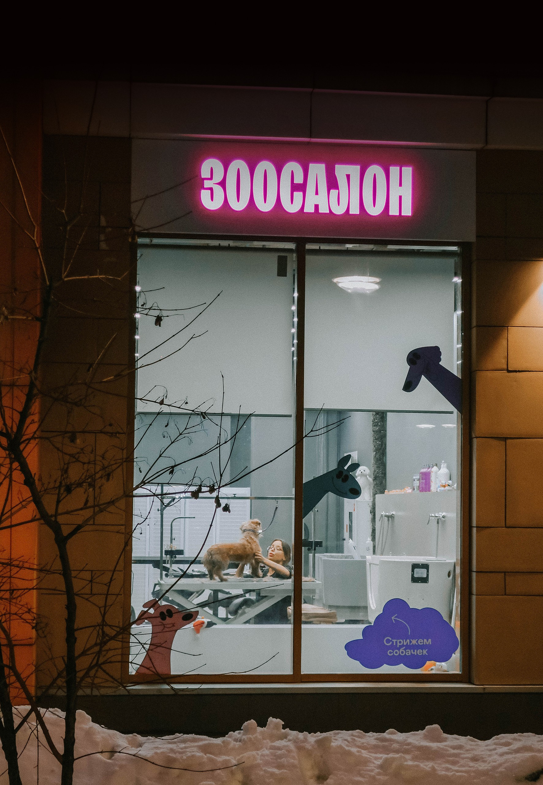 Зимняя фотопрогулка: м. Ботанический сад + частичка парка Яуза. Проект «Фотокладовка»: блог уличной фотографии в формате street photo