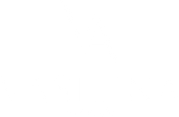 vasilina-photographer.ru