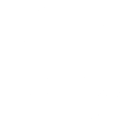 litvinovpro.ru