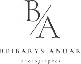 beibarysanuar.wfolio.pro