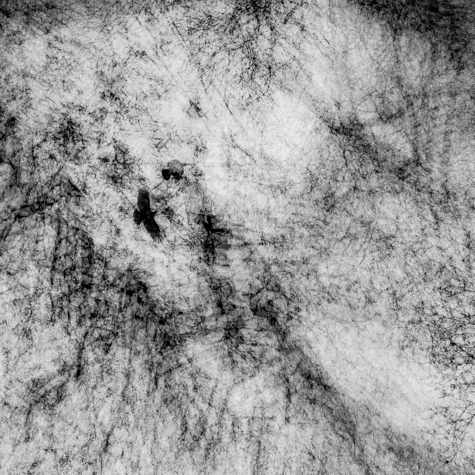 The city: an exhibition project by photographer Den Batuev