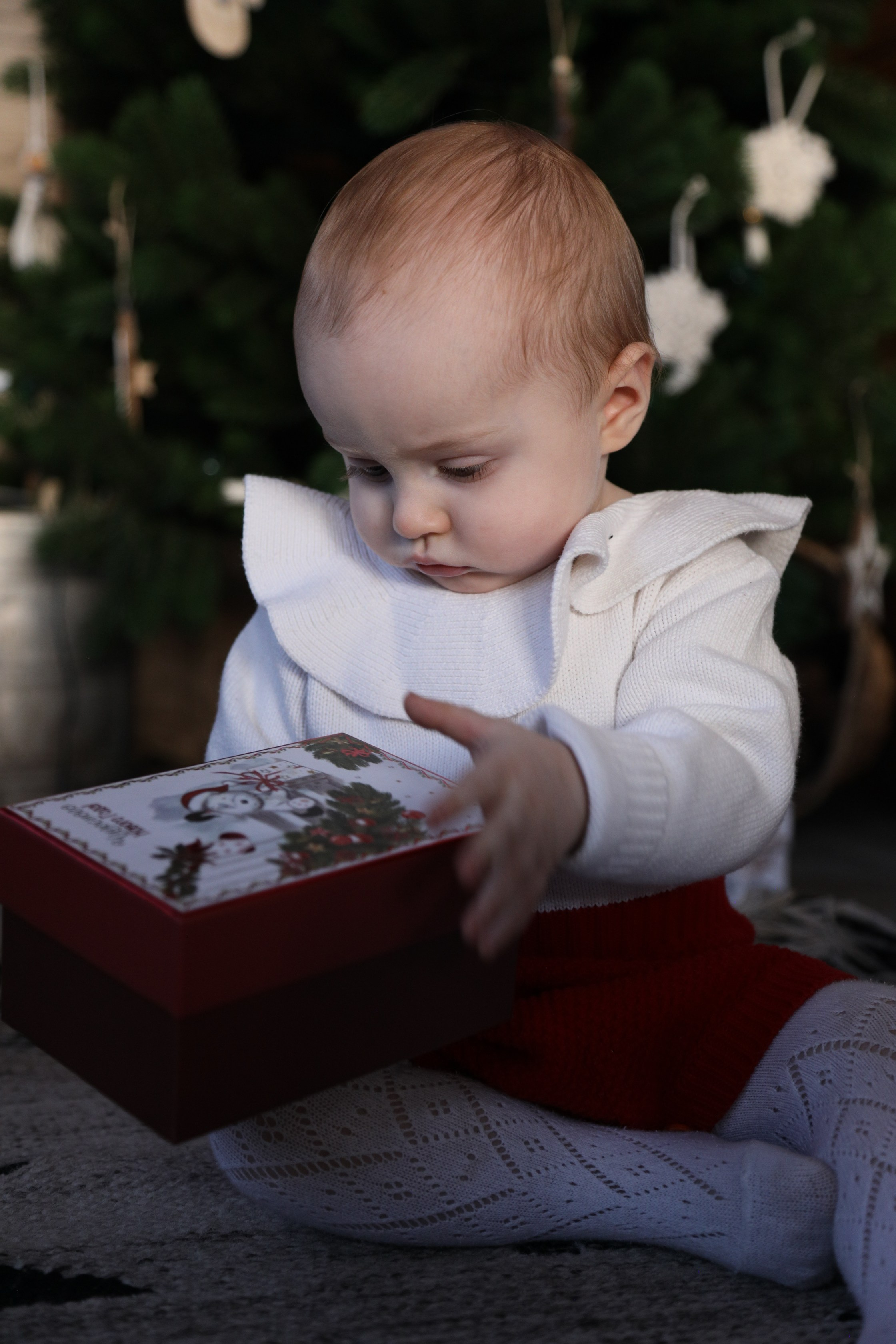 Анонсы. Загородная фотостудия Глэмпинг в МО