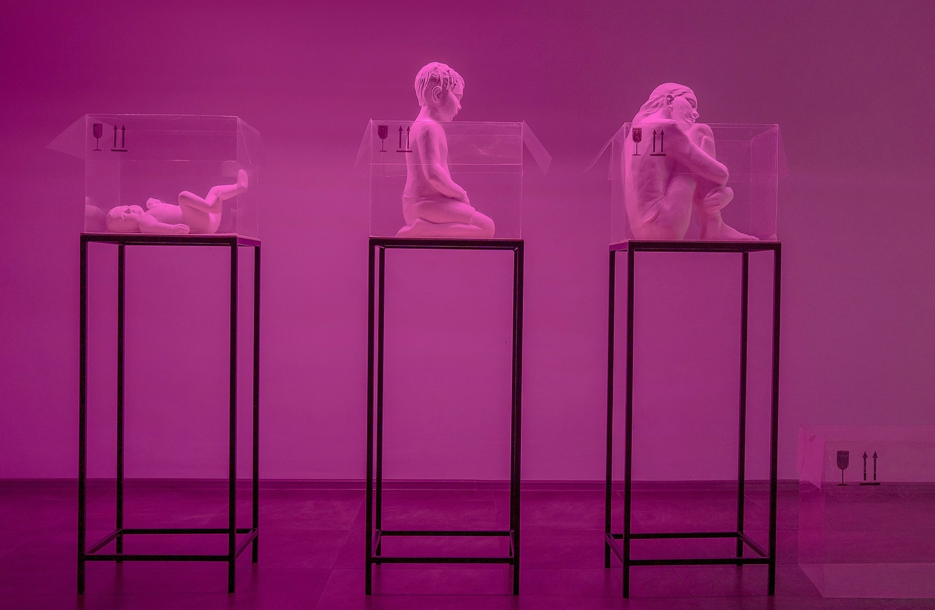 Художница Софья Григорьева