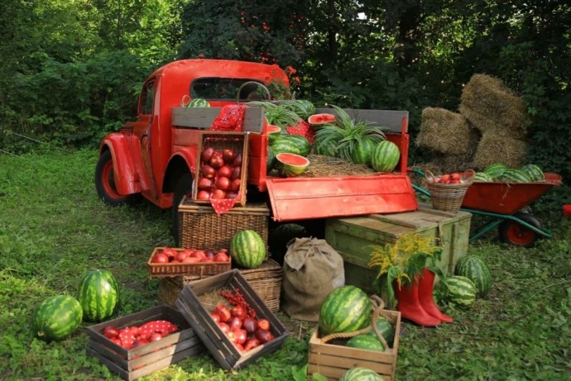 Загородные фотостудии. Фото Радости. Свадебный и семейный фотограф в Москве Юлия Самойлова