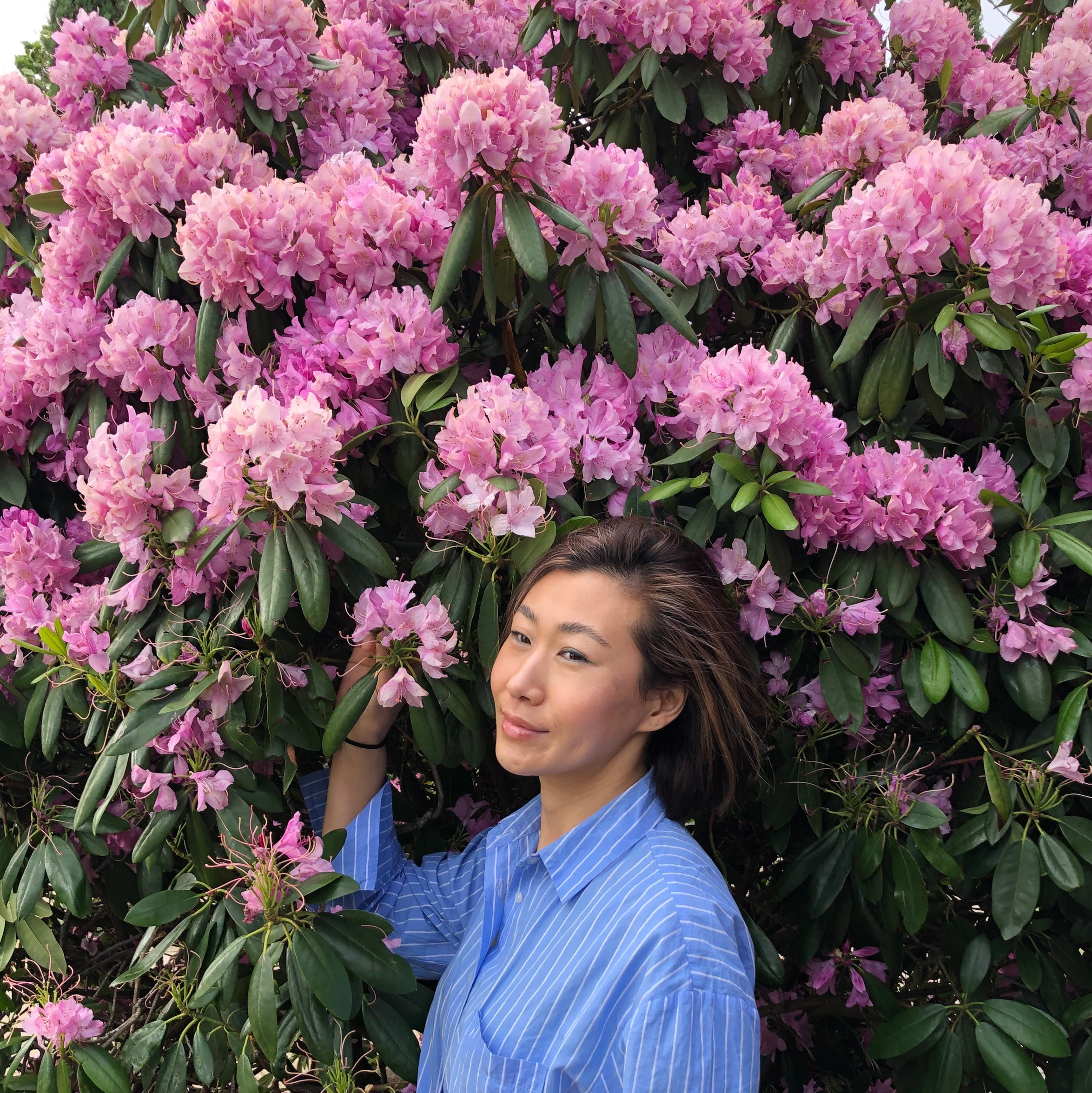 Обо мне. Художник, фотограф Ирина Тен