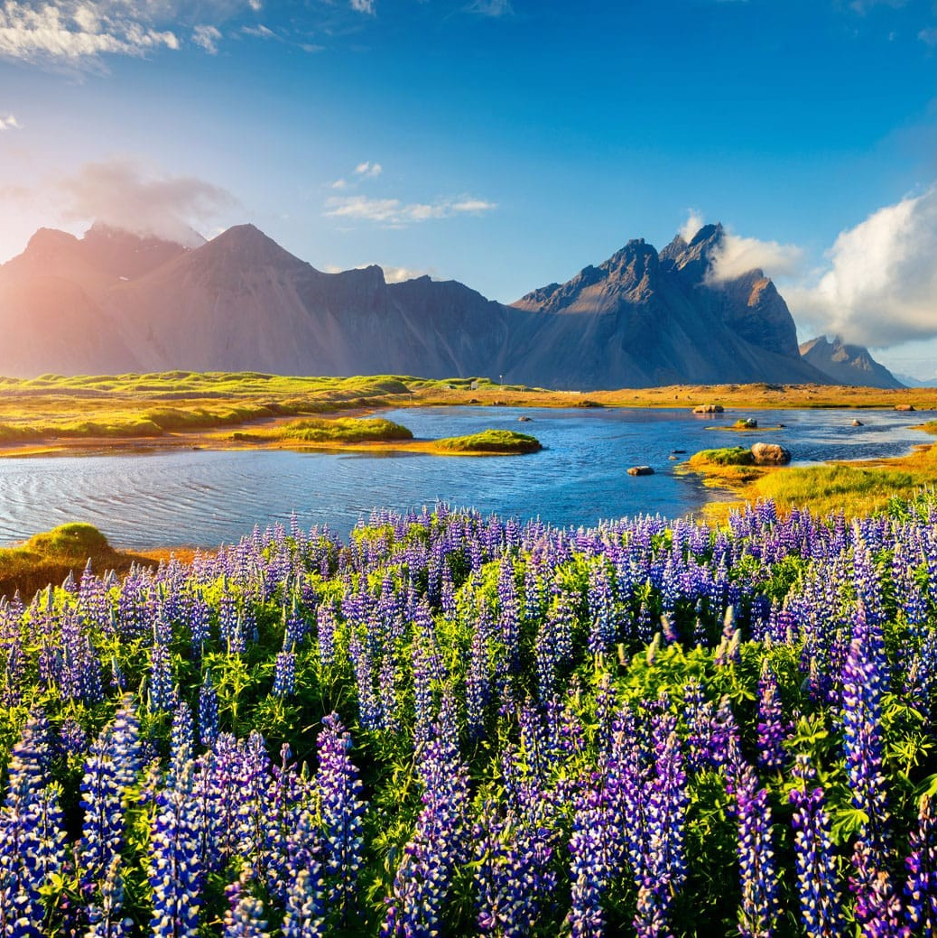 Портфолио|работы с партнерами. Хорошая экспедиция