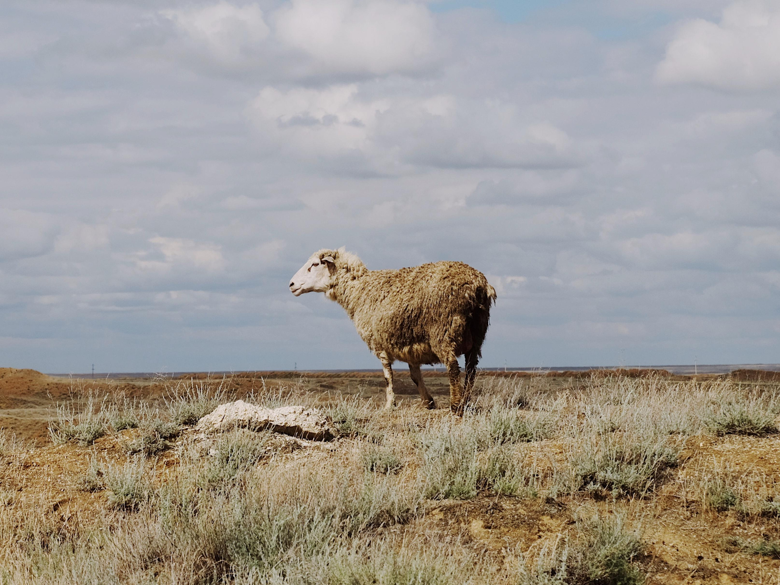 Series. Maria Marco | photographer, artist