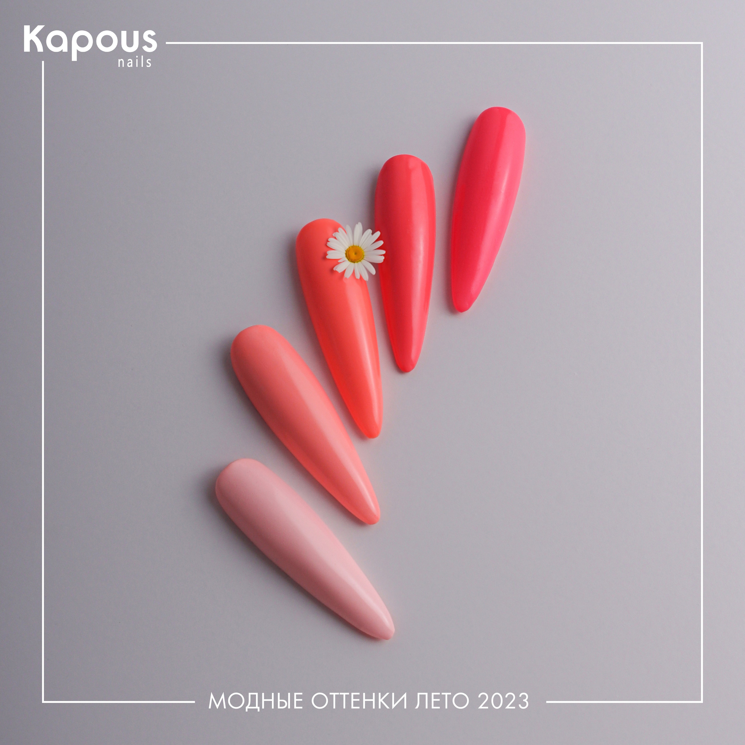 Дизайн ногтей. Фотограф из Москвы — DASHA NOVA | Авторская фотография в разных жанрах