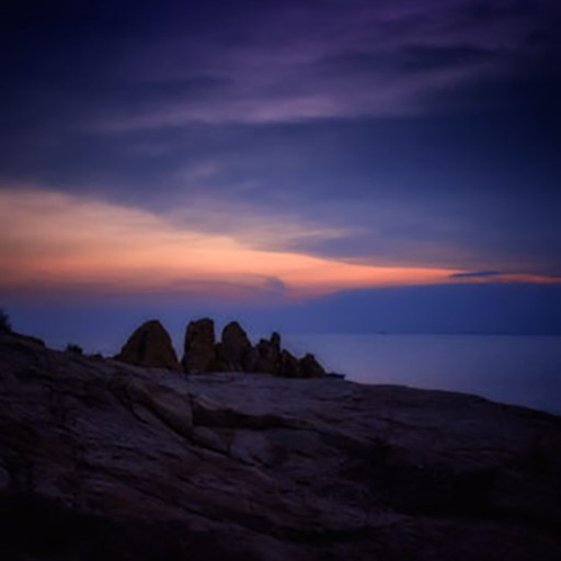 Contacts. Volkovart.online nature photography