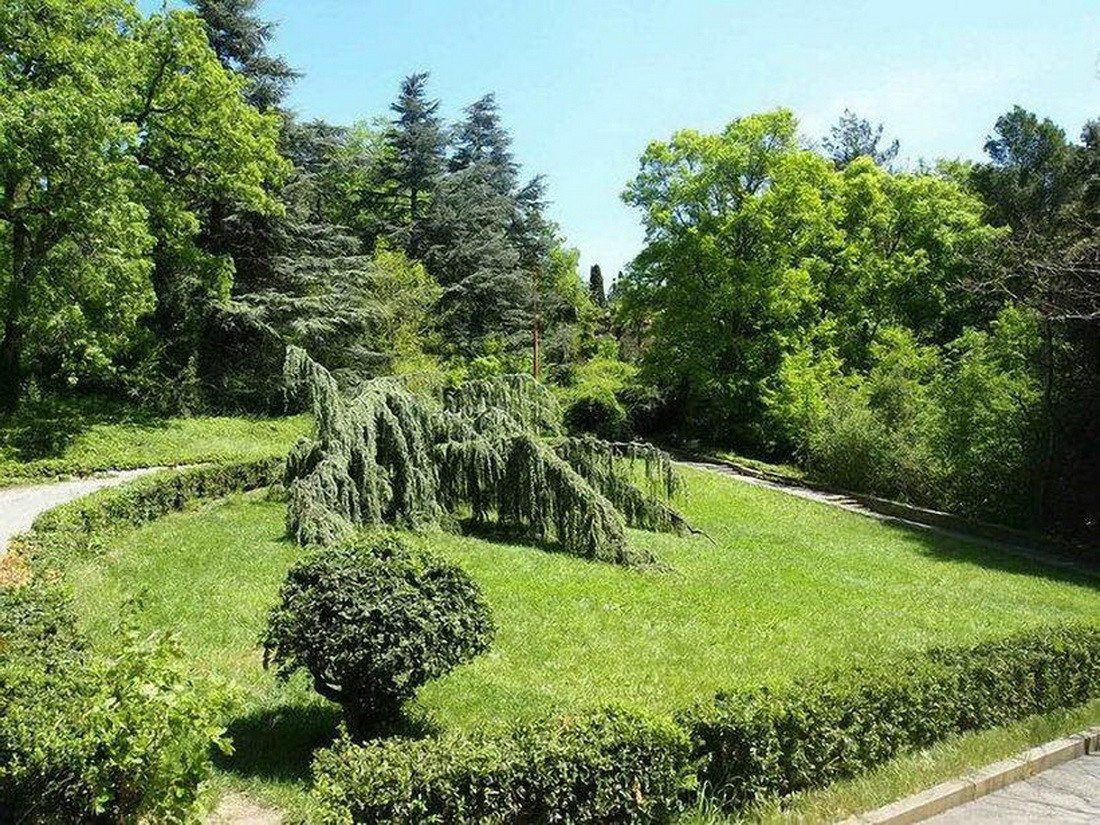 Локации для съёмок. Таучелов Сергей. Фотограф, Видеограф, Видеооператор в Симферополе
