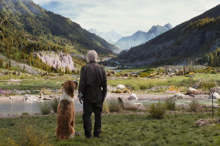 Вдохновляющие фильмы с красивыми пейзажами. Фотограф Ирина Воробьева