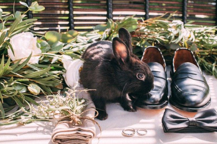 Свадебная фотосессия: Стоимость услуг | Москва и МО