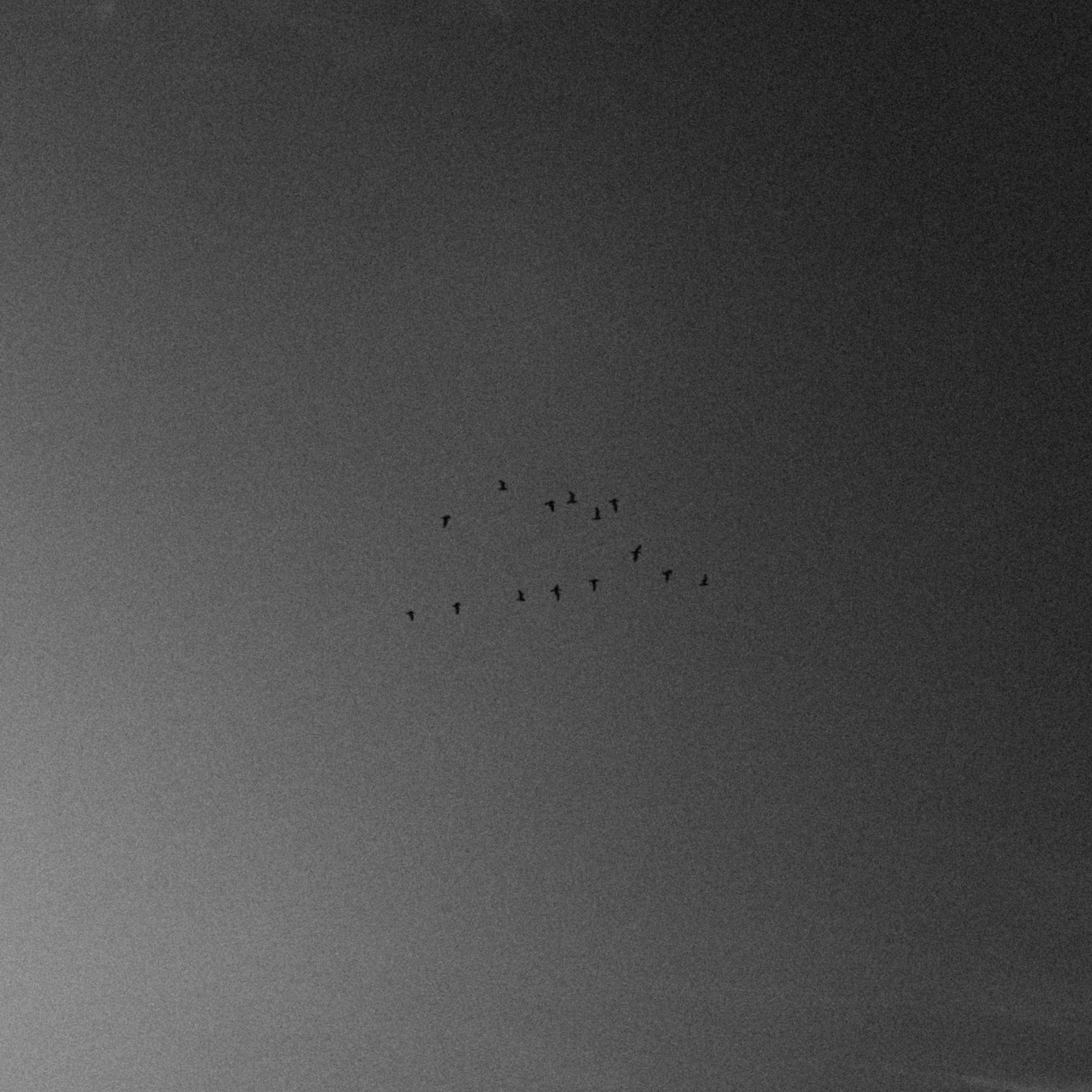 Контакты. Фотограф Ростов Москва | обучение фотографии