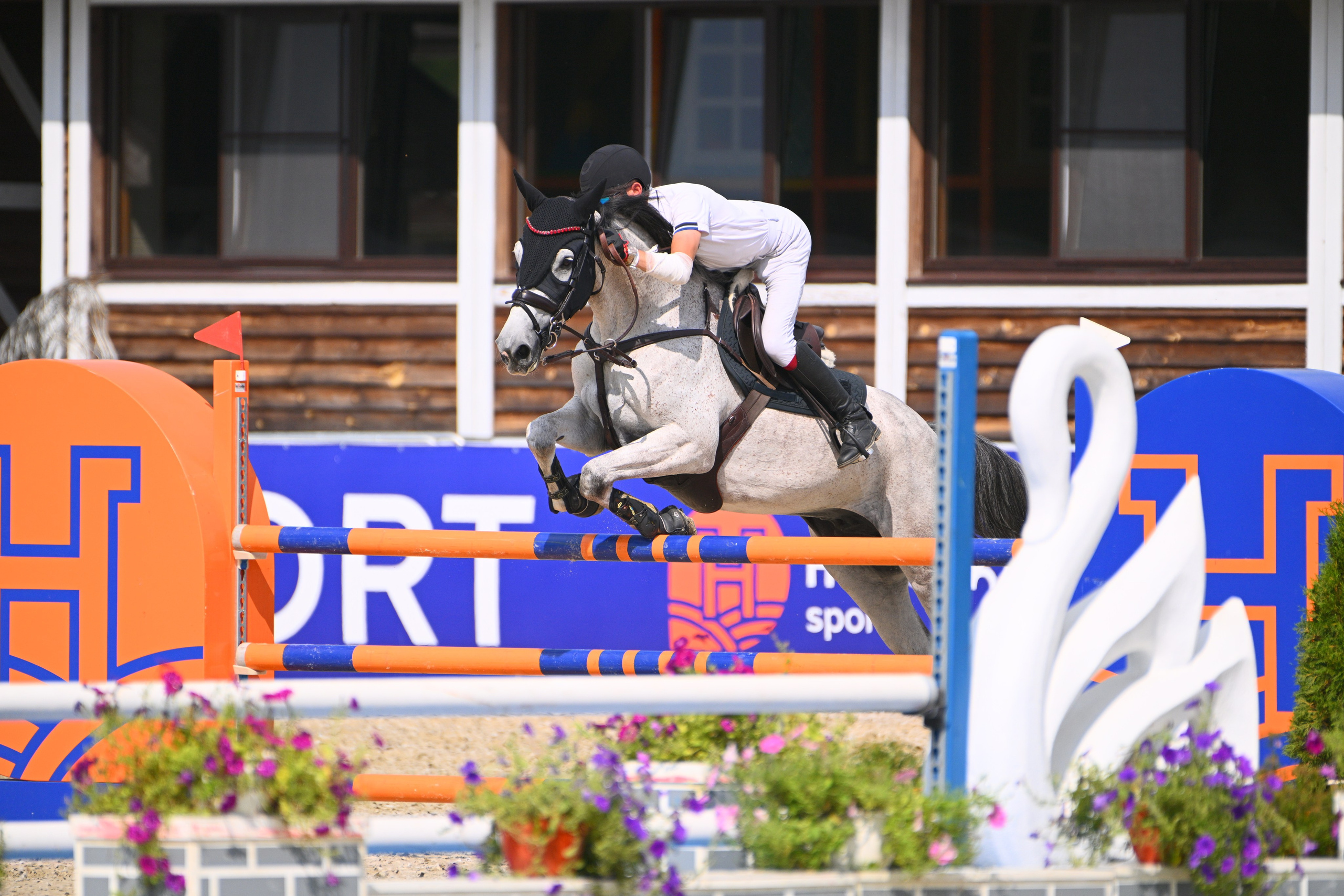 01-03 авг 2025 — Большое поле. HORSEKA Тур. Молодые Лошади и Общий зачет. ТУРНИРНАЯ КОННАЯ ФОТОГРАФИЯ, Руднева Ольга и Евгений Адеев