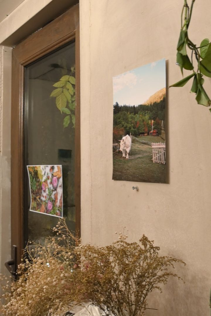 «Тёплый свет» и «Тёплый звук». Фотовыставки serebro.gallery, в которых автором можешь стать ты! | Москва