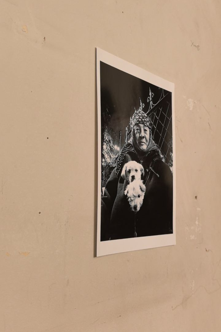 «Тёплый свет» и «Тёплый звук». Фотовыставки serebro.gallery, в которых автором можешь стать ты! | Москва